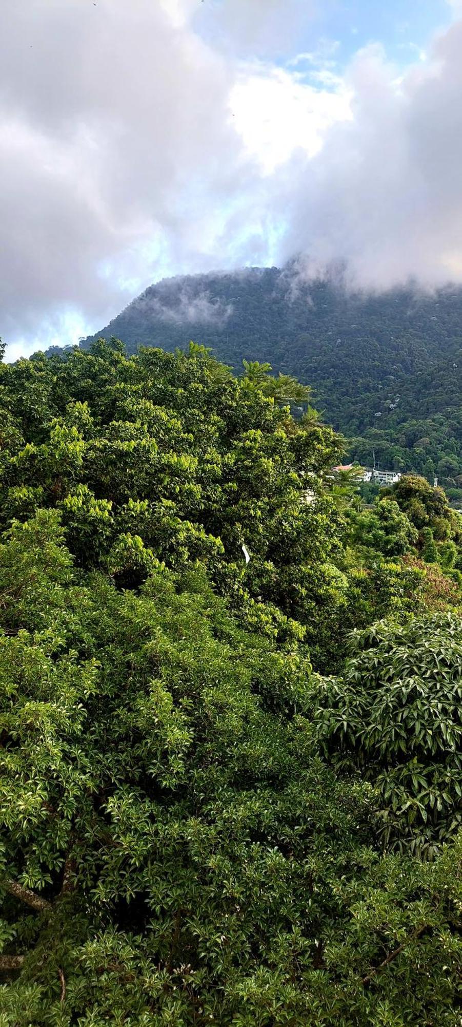 Apartamento Apto Inteiro 78M Vista Cristo Redentor Para 5 Pessoas